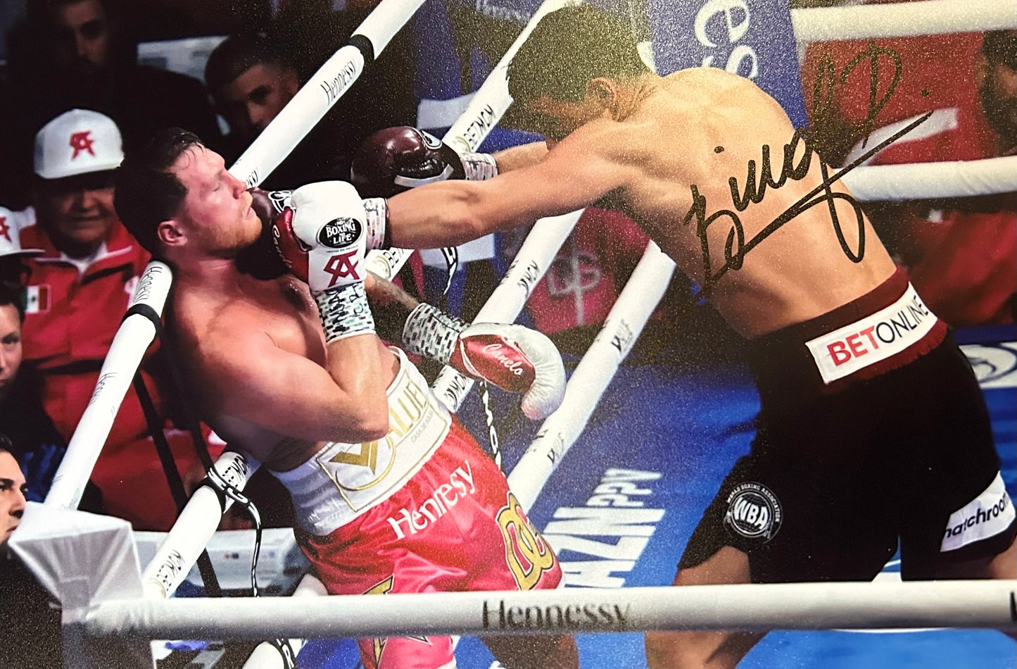 Dmitri Bivol Hand Signed 12X8” Photo 1