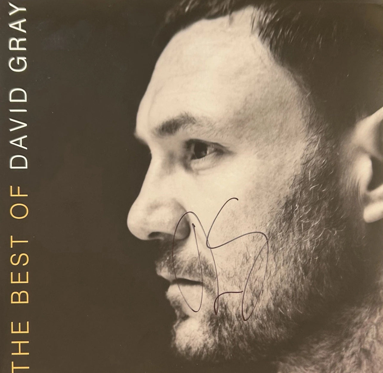 David Gray “The Best Of” Hand Signed Vinyl