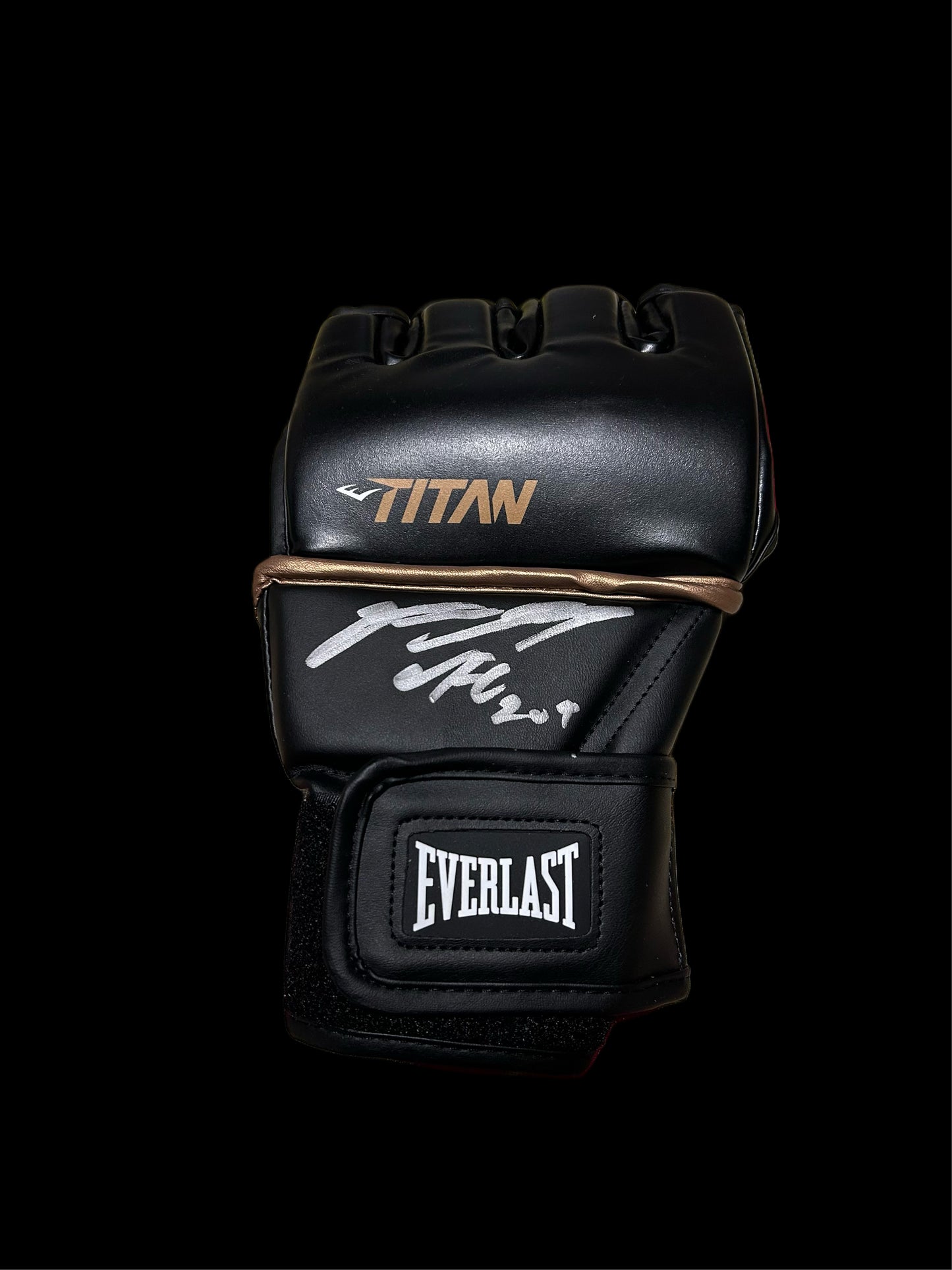 Nate Diaz Hand Signed Everlast UFC Glove “UFC 209”