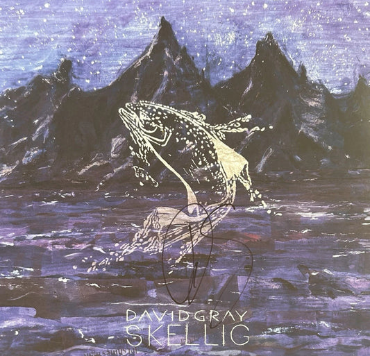 David Gray “Skellig” Hand Signed Vinyl