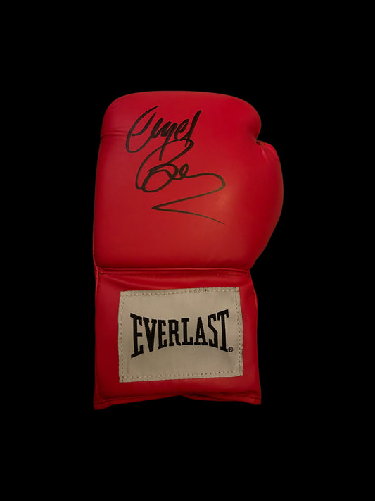 Nigel “The Destroyer” Benn Hand Signed Boxing Glove 1